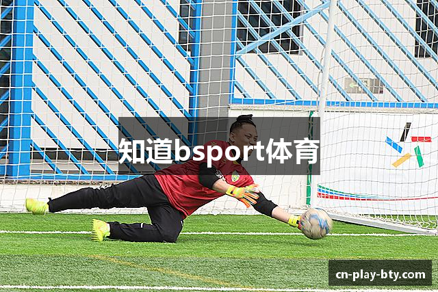 知道bsport体育